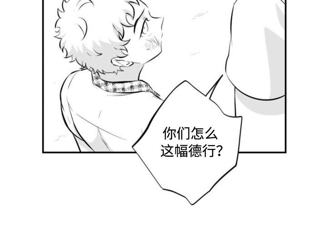 第31章：同流合污