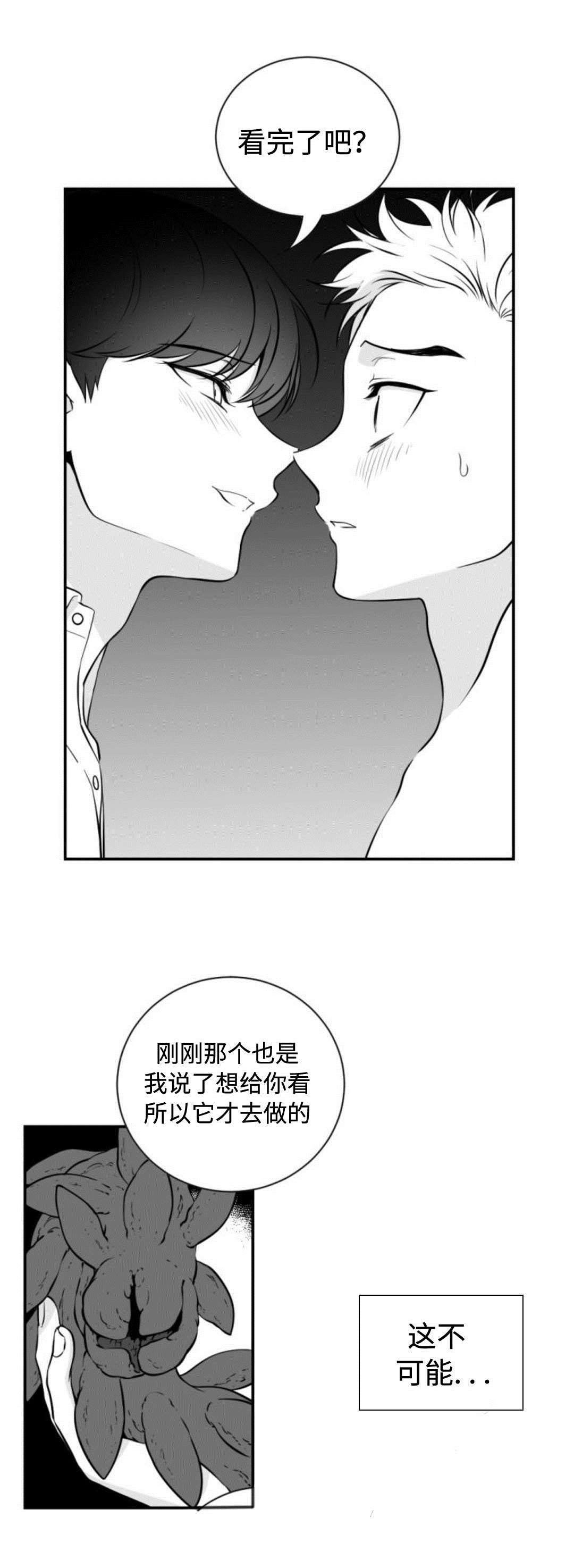 第36章：喜欢自由