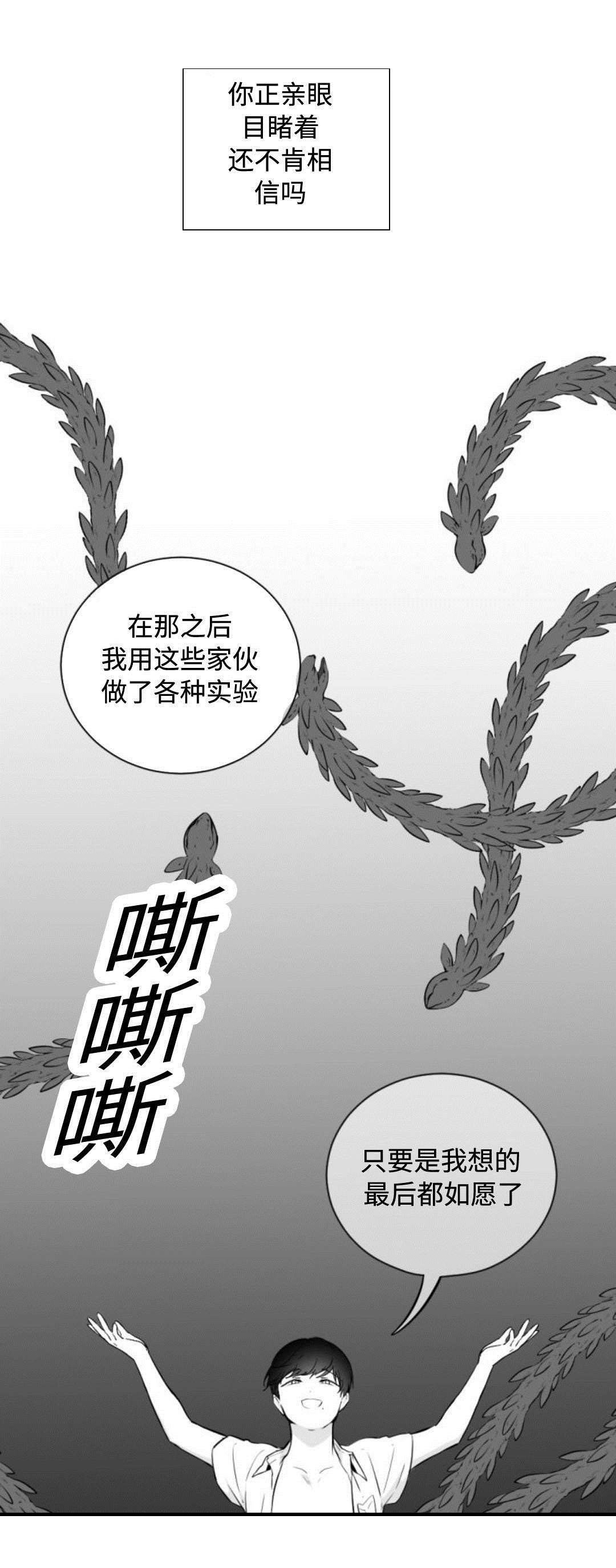 第36章：喜欢自由
