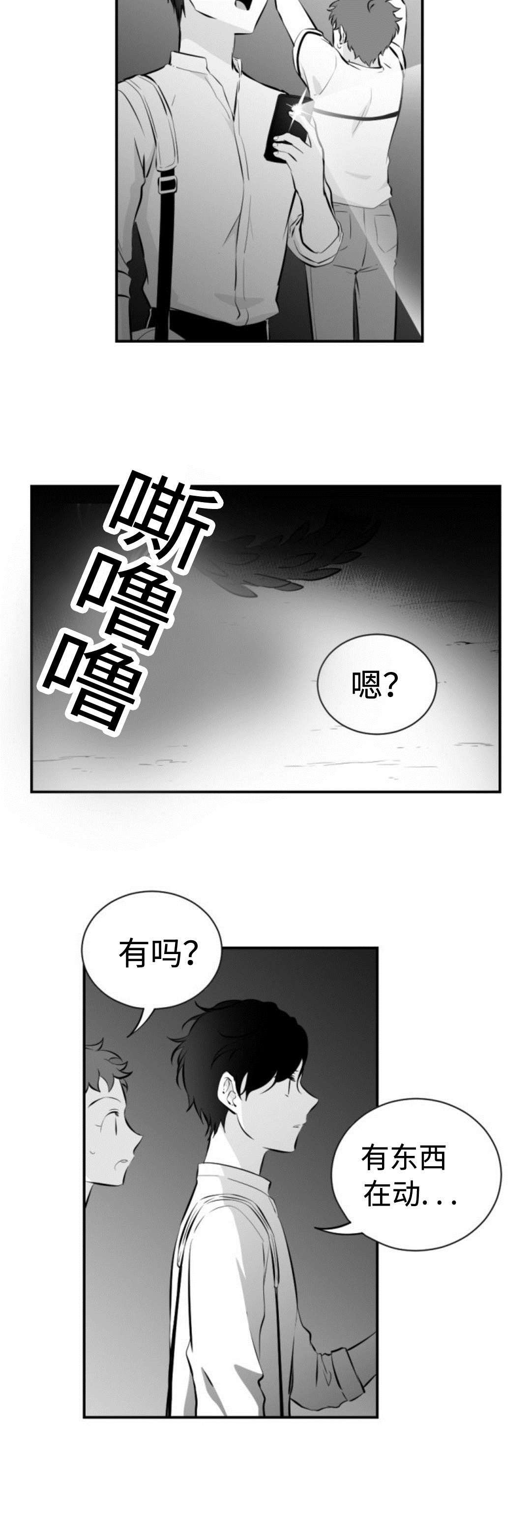 第40章：蛇