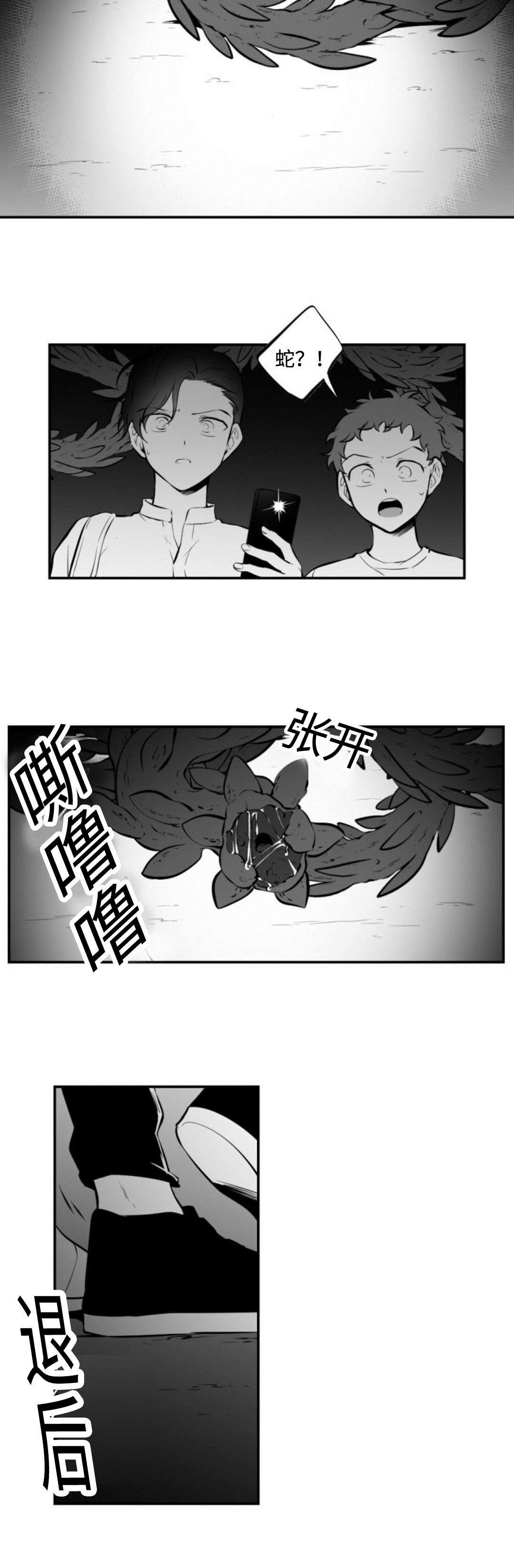 第40章：蛇