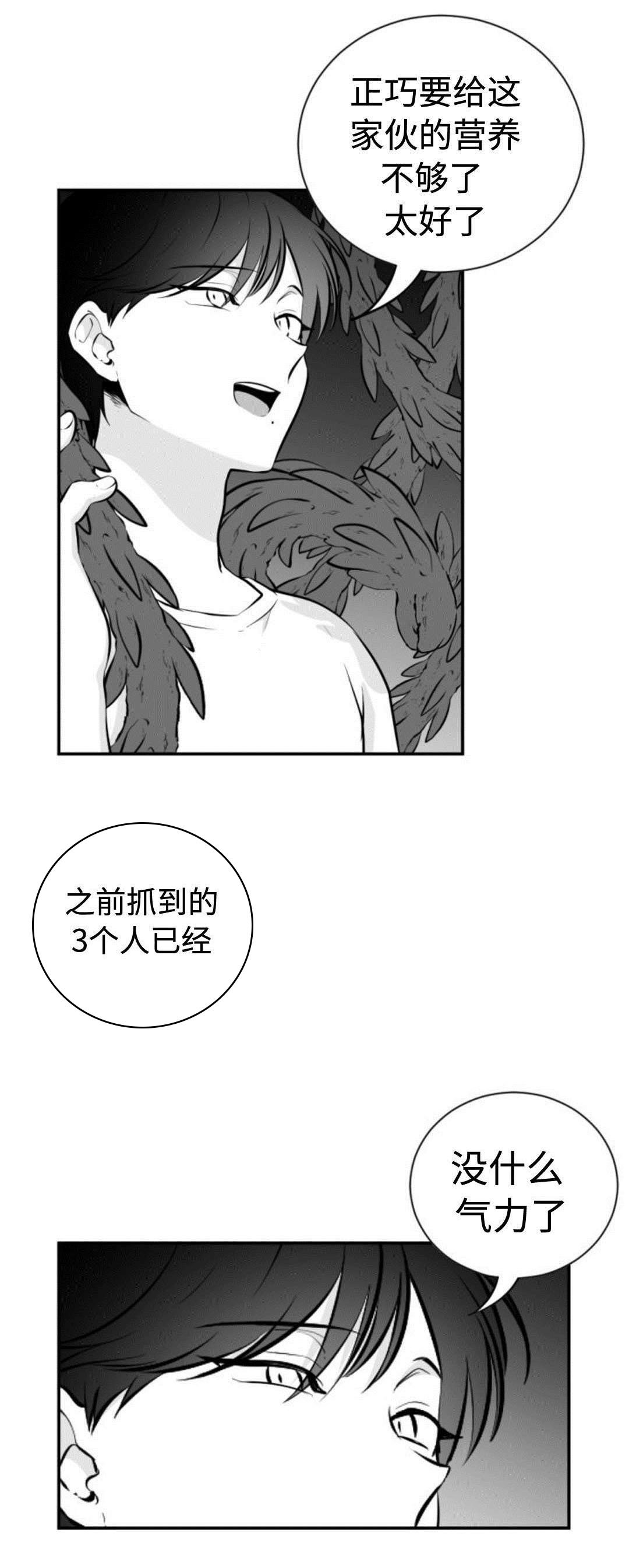 第41章：精神失常