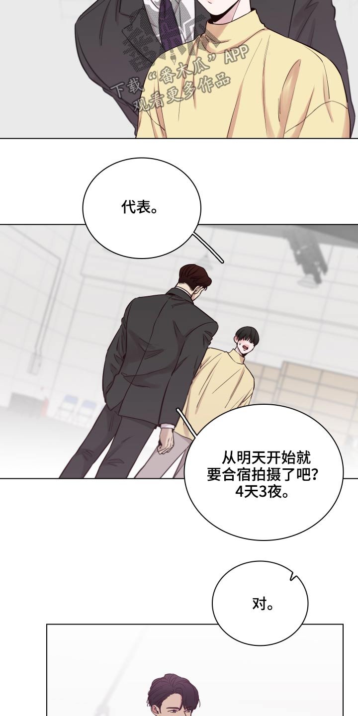 第73章：【第二季】一束花