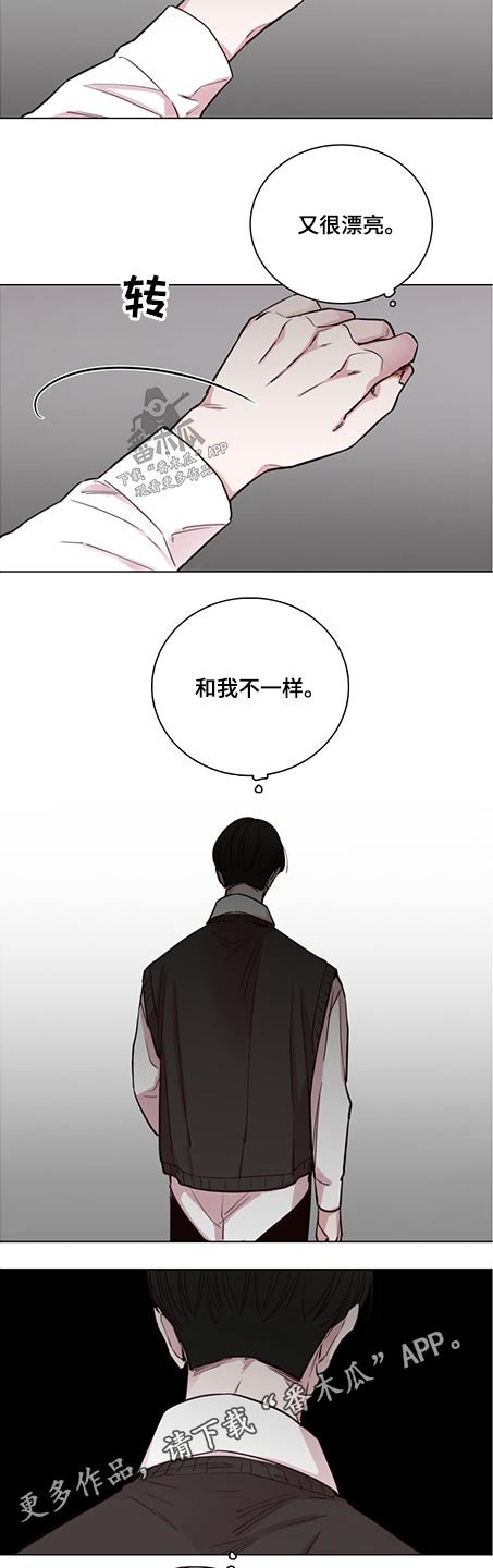 第81章：【第二季】很漂亮