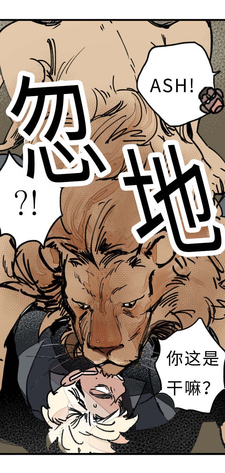 第20章：狮子