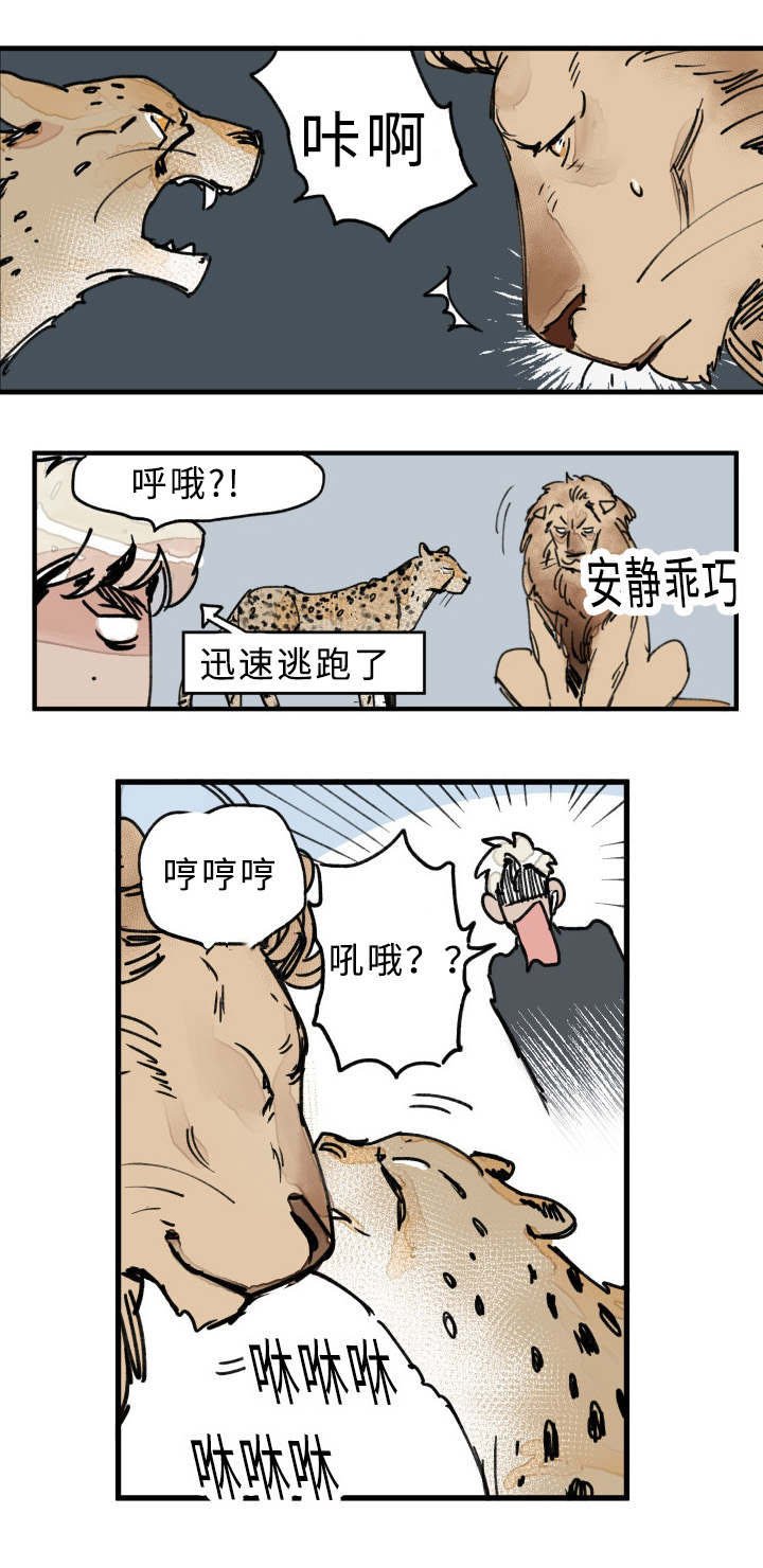 第21章：关系