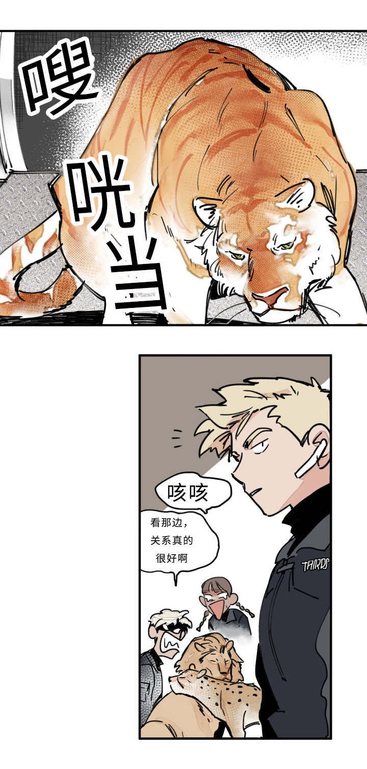 第21章：关系
