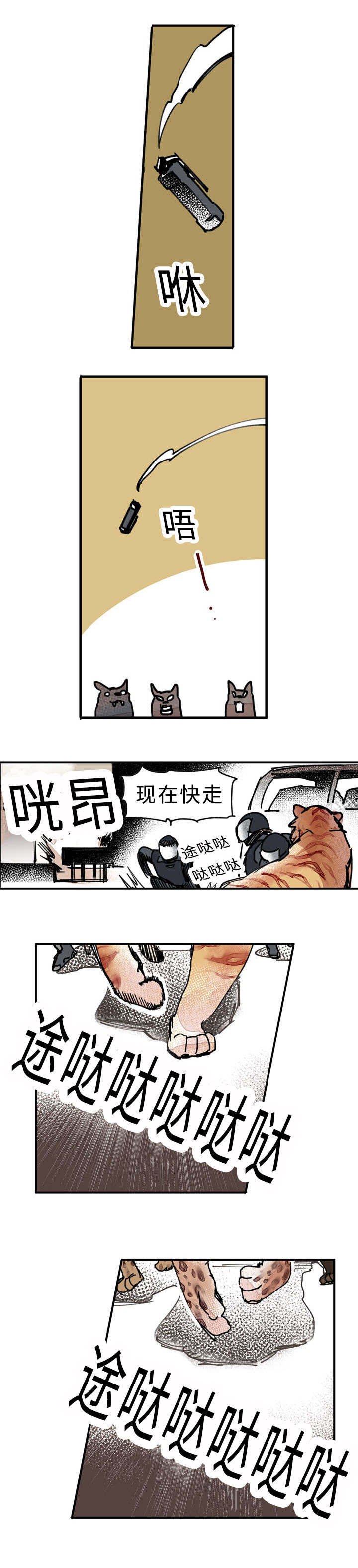 第25章：要做的事很多