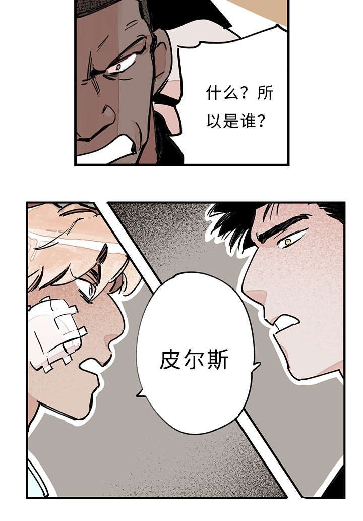 第33章：你说什么