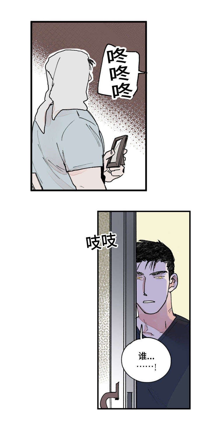 第41章：白色粉末