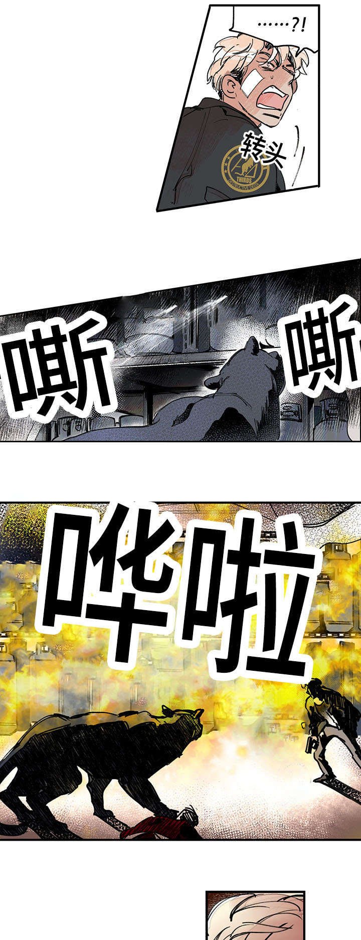 第44章：引火烧身