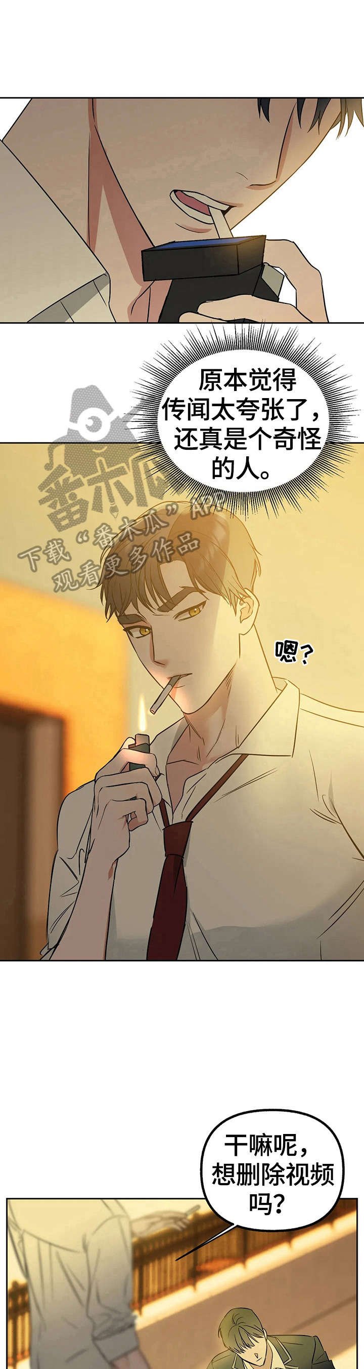 第29章：看视频