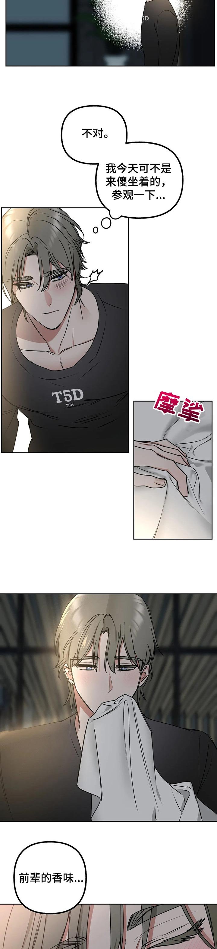 第33章：掩盖