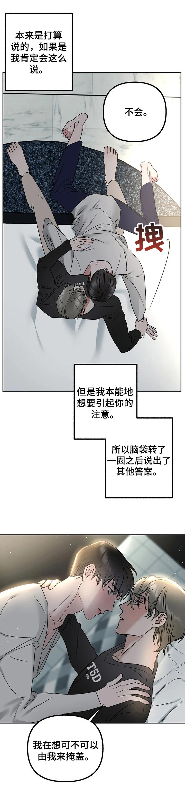 第33章：掩盖