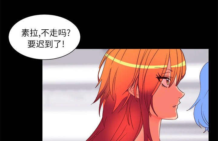 第17章：关注