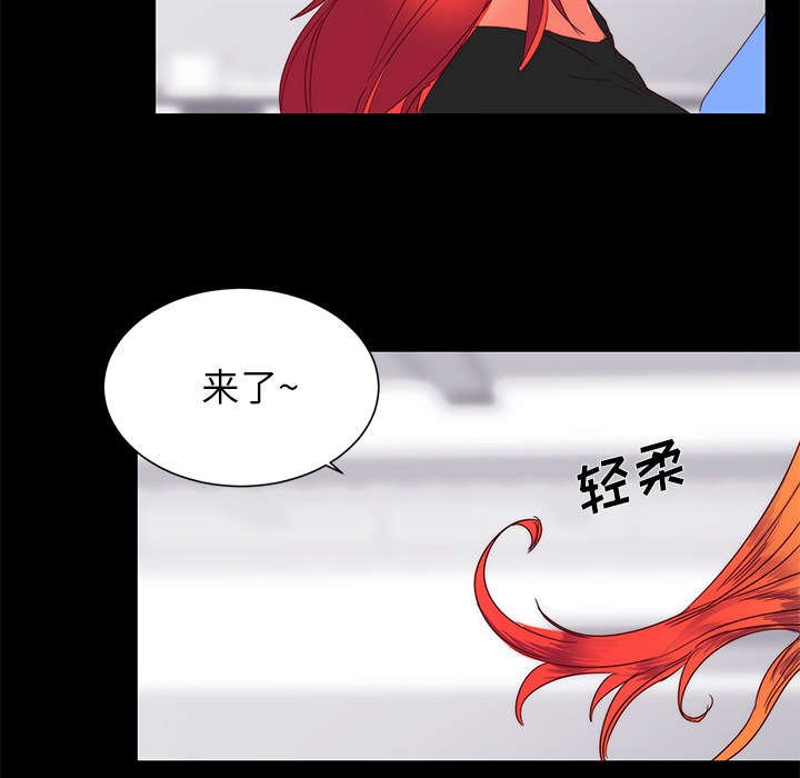 第17章：关注
