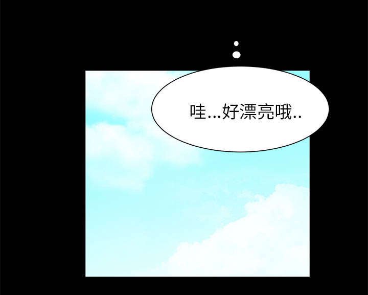 第17章：关注