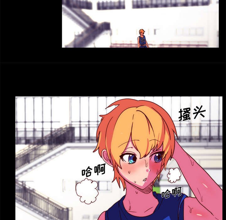 第17章：关注