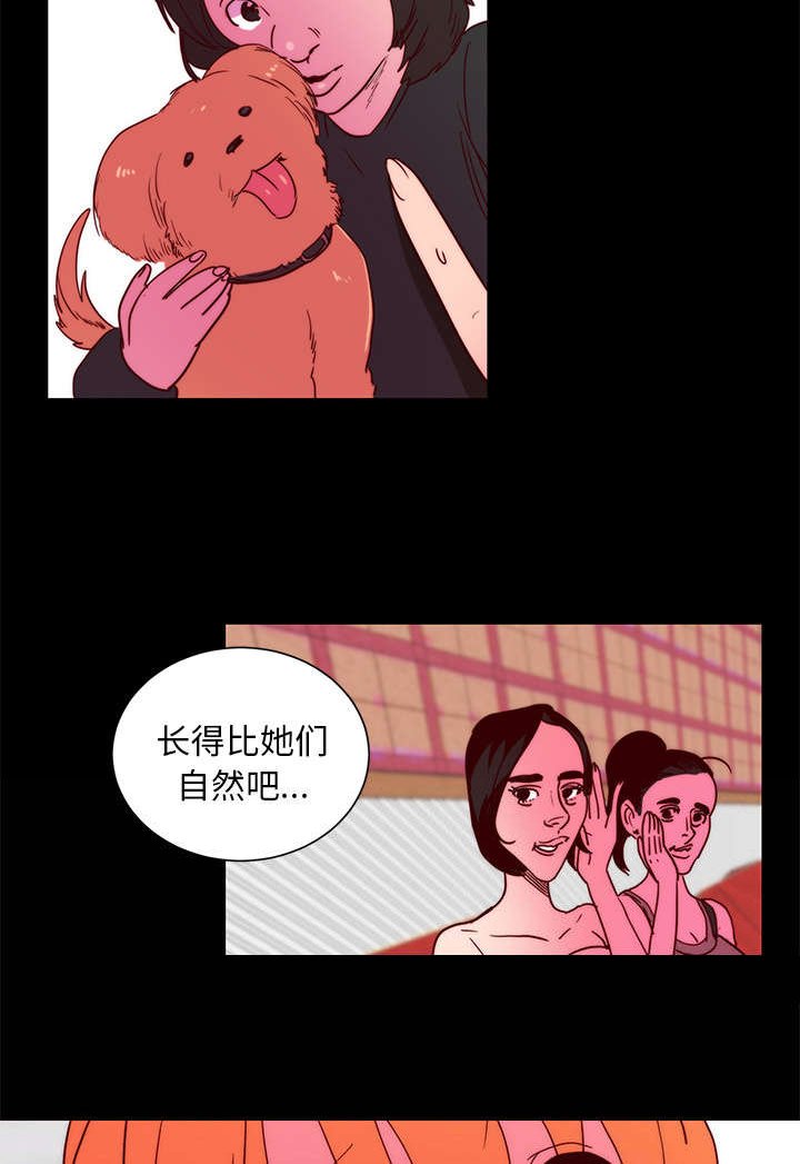 第17章：关注
