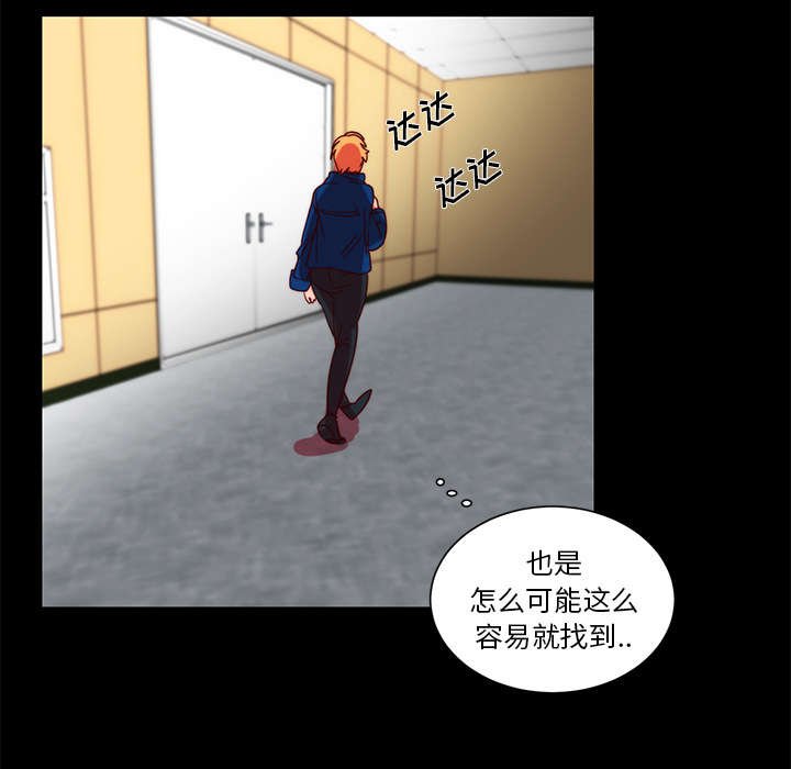 第17章：关注