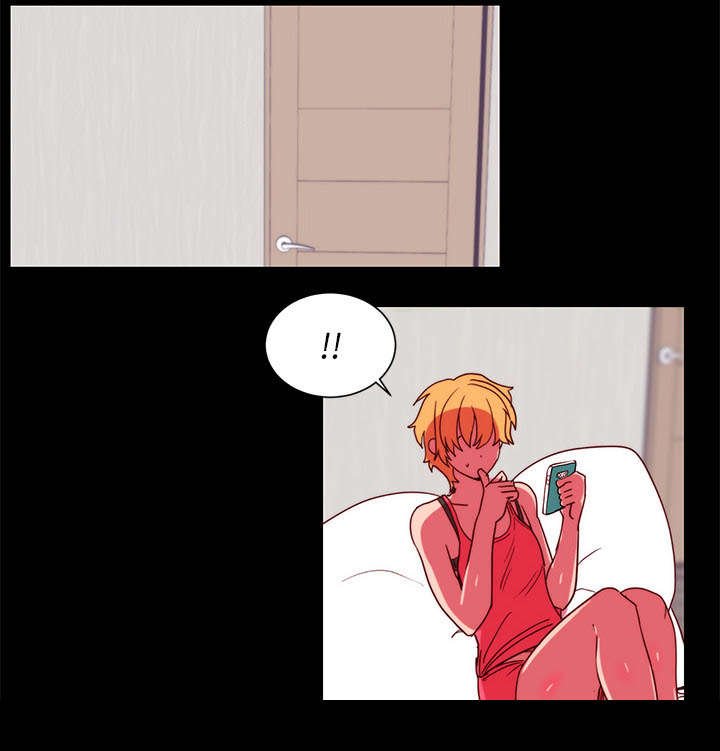 第17章：关注