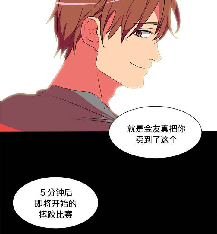 第4章：摔跤场