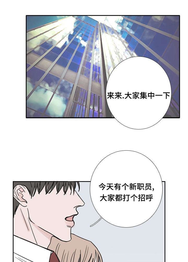 第52章：会幸福的