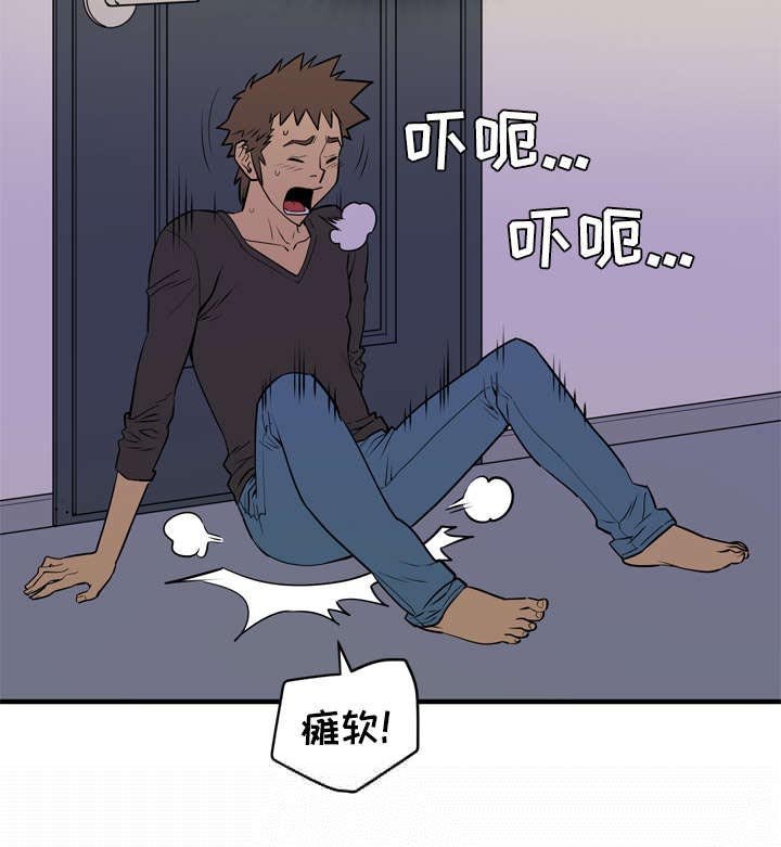 第17章：禽兽
