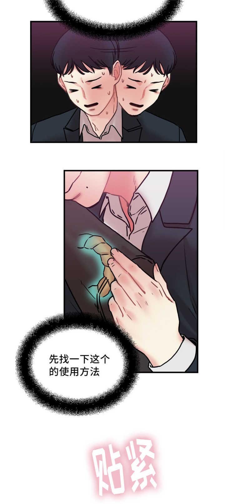 第14章：使用方法