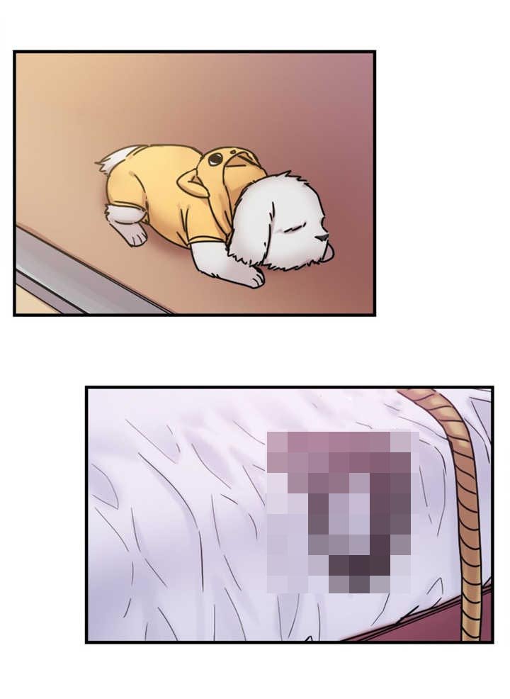 第15章：试验