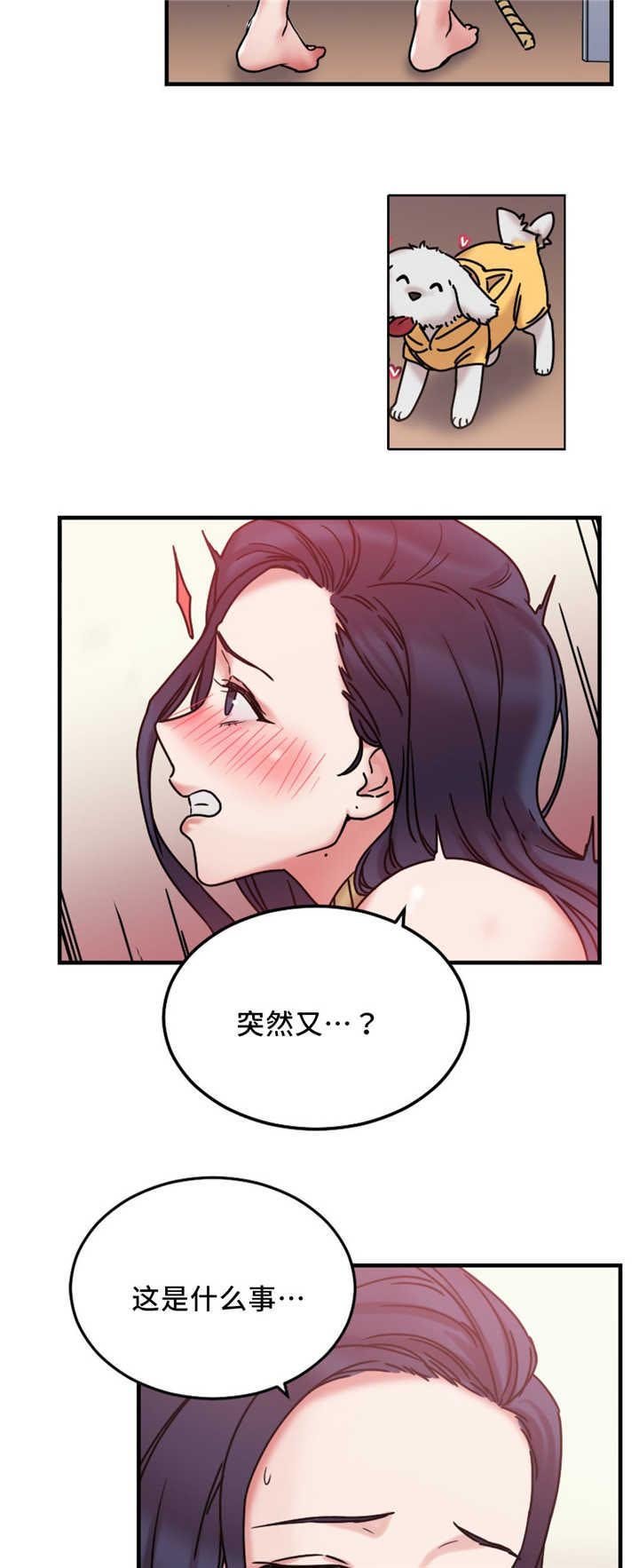 第15章：试验