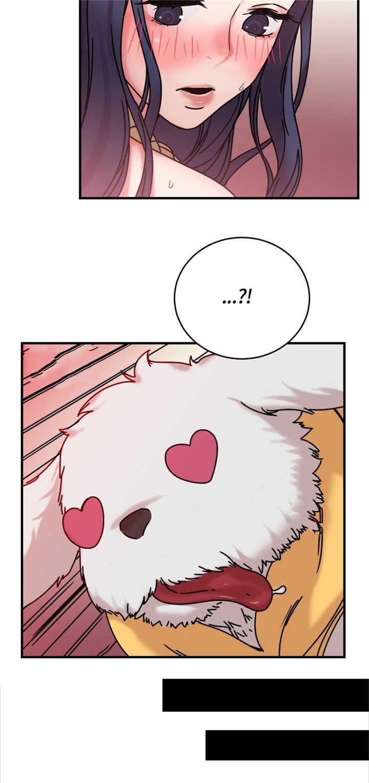 第15章：试验