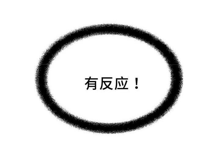 第16章：有反应