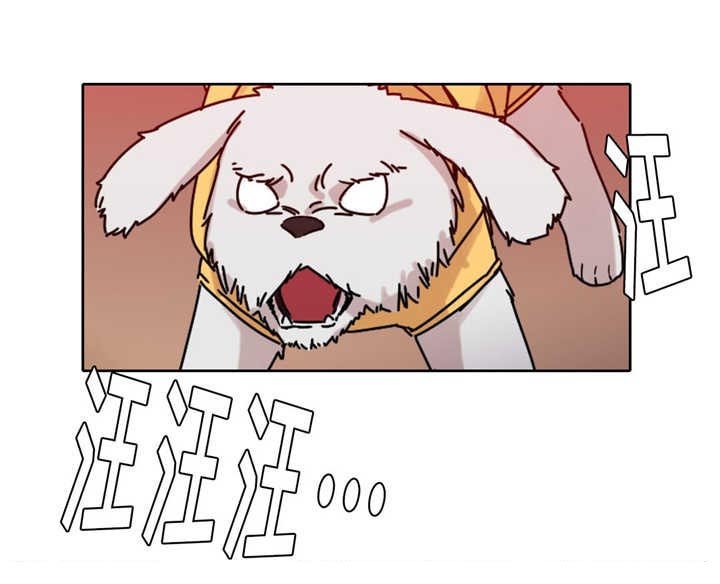 第17章：重要的事情