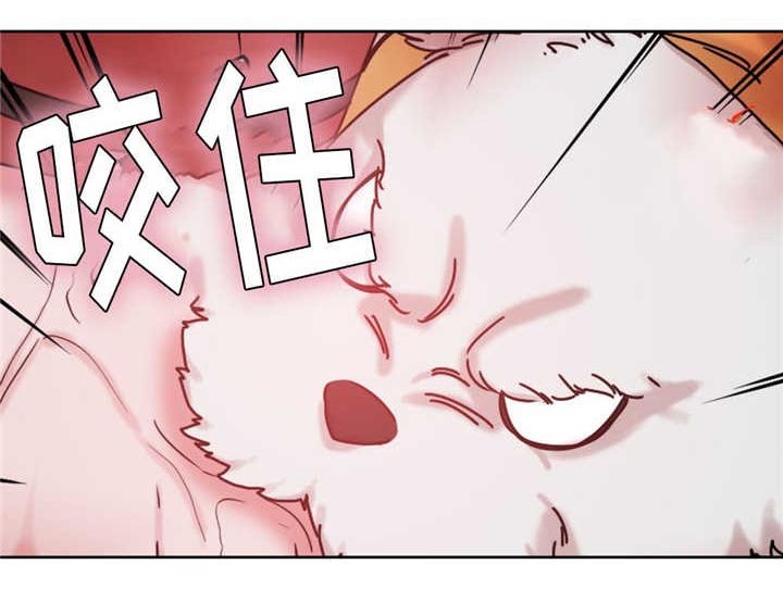 第17章：重要的事情