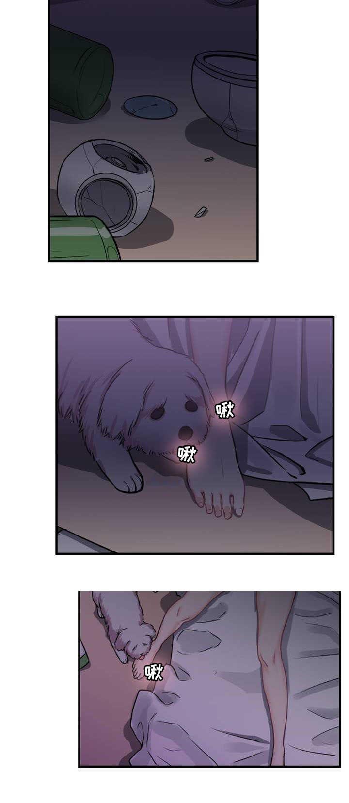 第6章：第二条缆绳