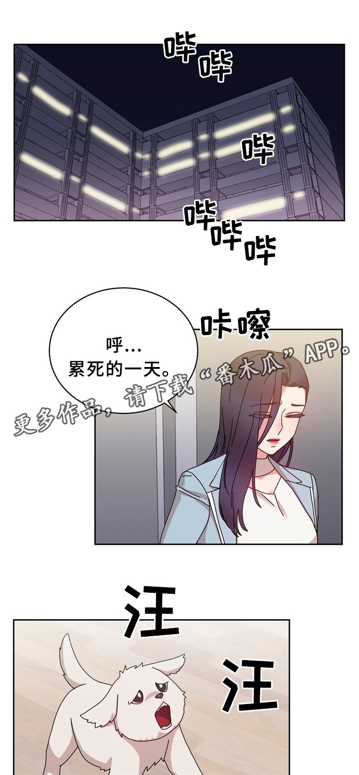 第63章：累死的一天