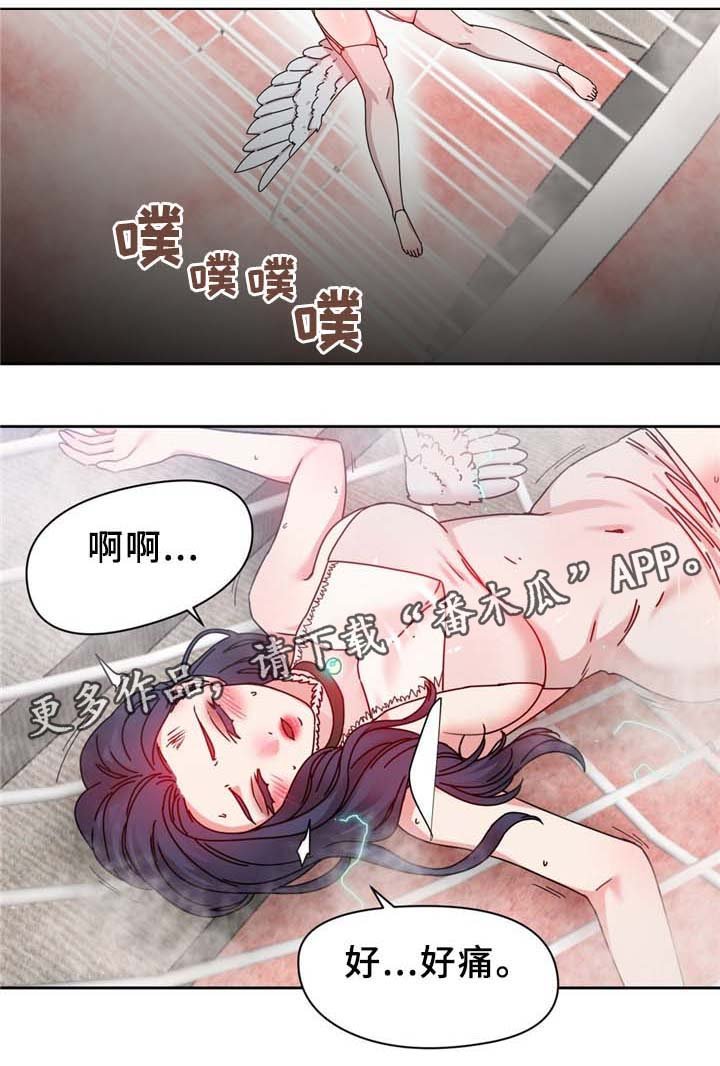 第66章：命中的另一半!