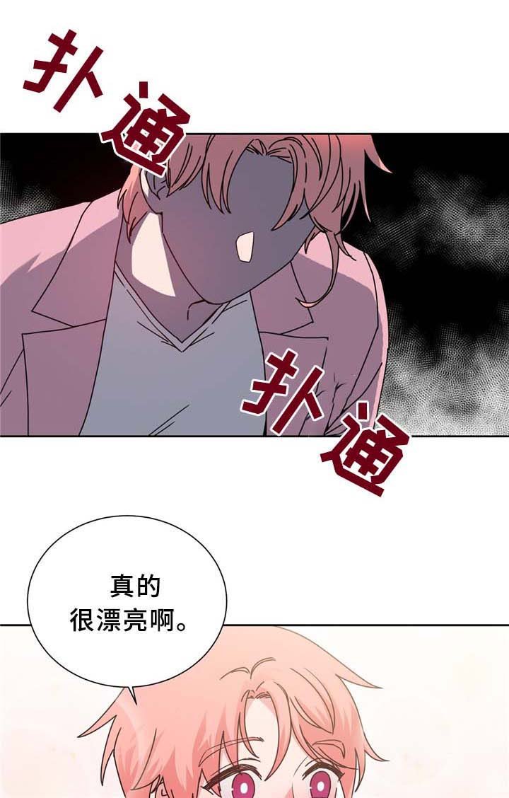 第68章：命中的安排