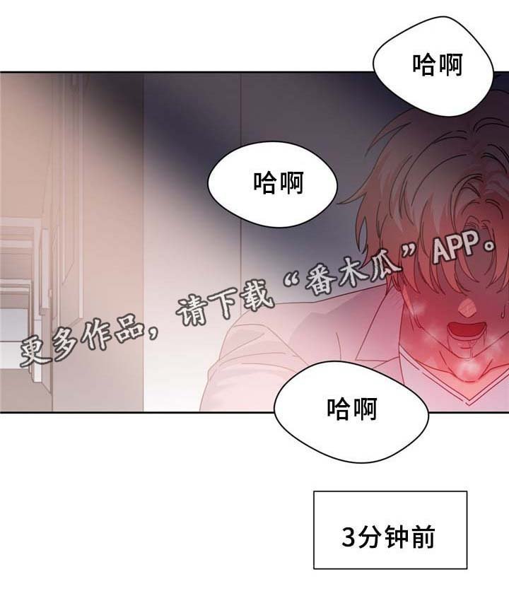 第70章："幻觉"?!