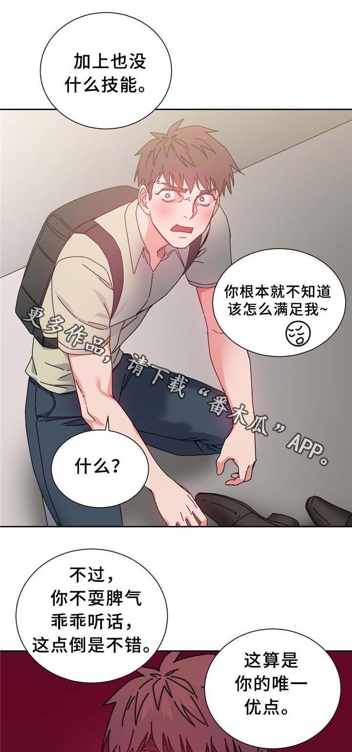 第74章：南根吗?!