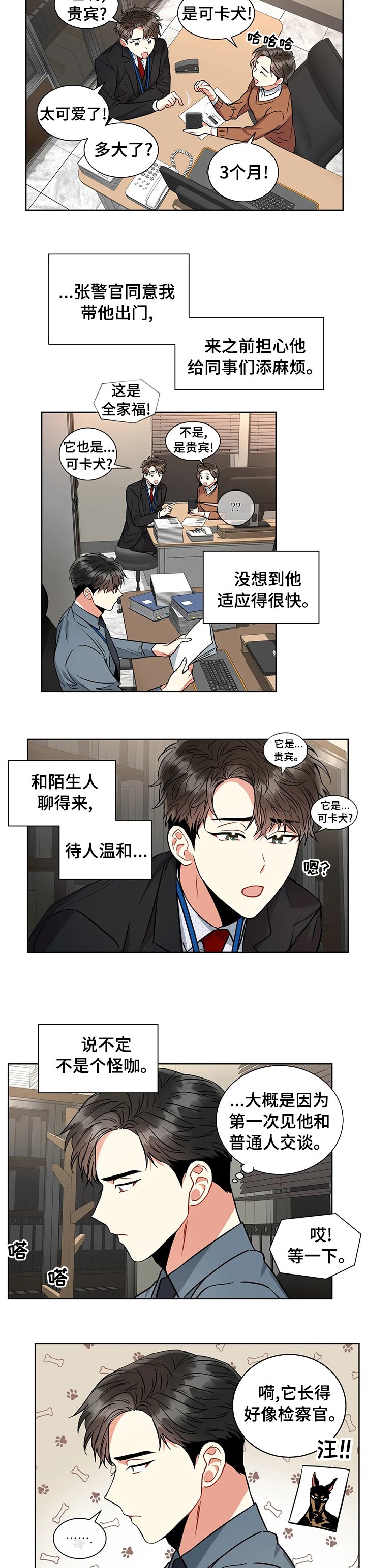第38章：检测结果