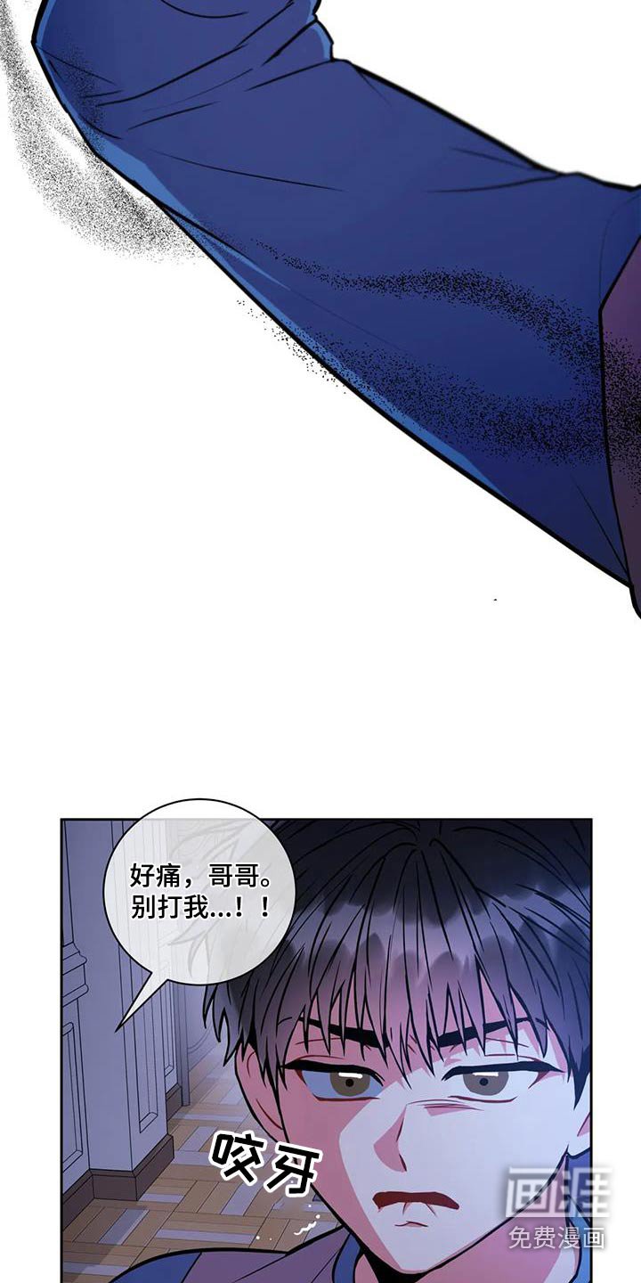 第94章：【第二季】私生子