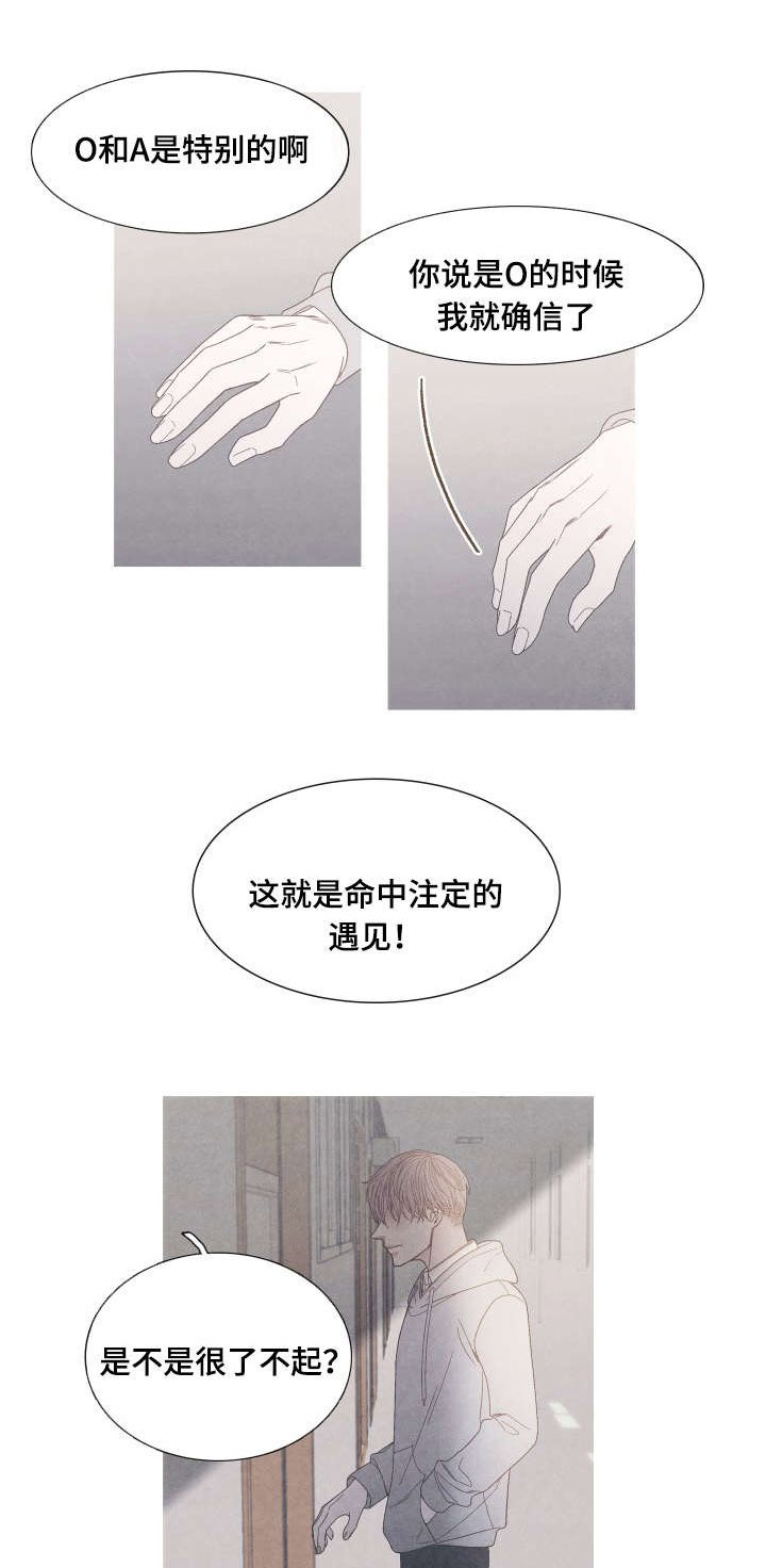 第28章：我选择你