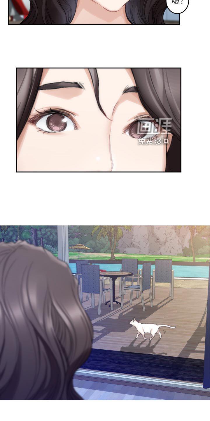 第105章：小野猫