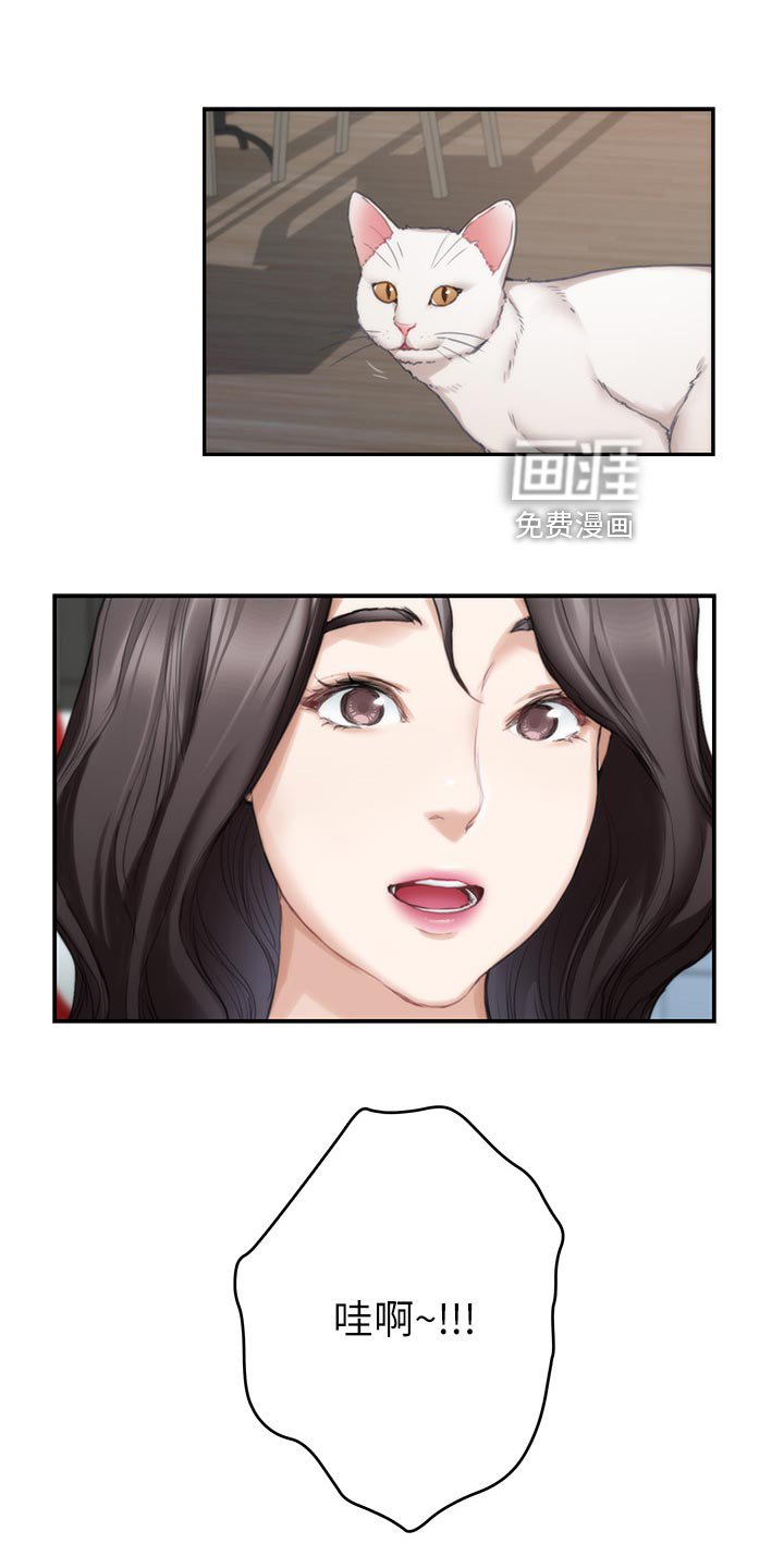 第105章：小野猫