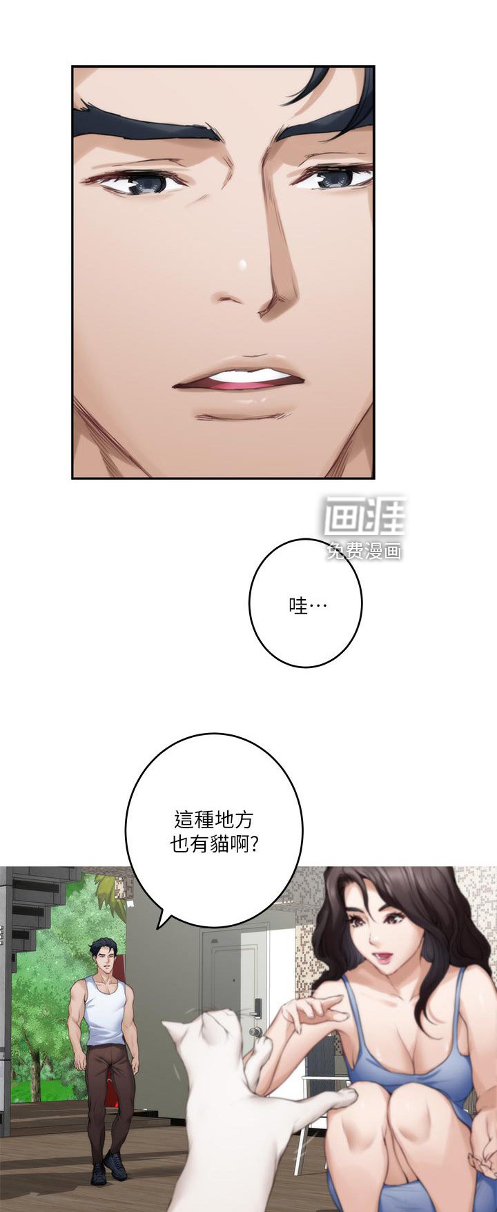 第105章：小野猫