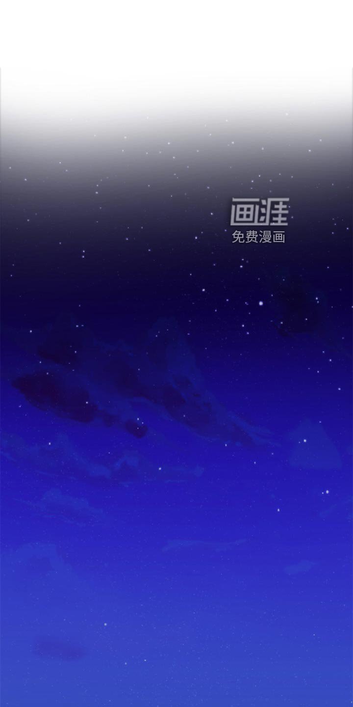 第123章：替代品
