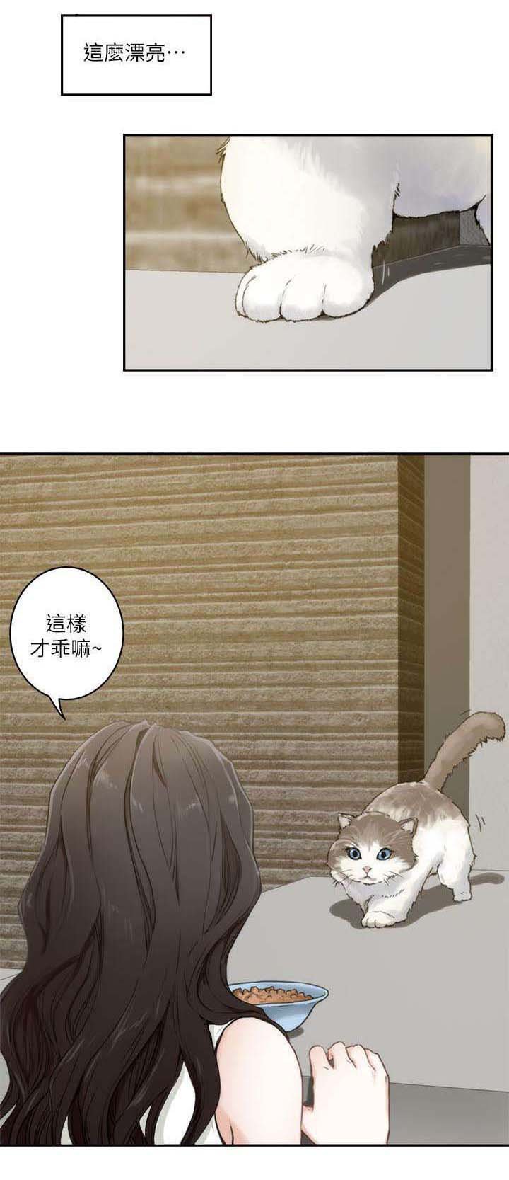 第3章：陈小桃