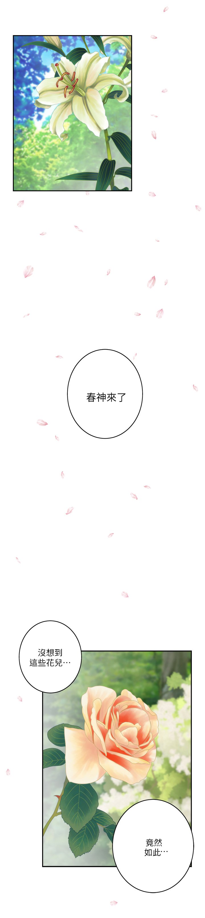 第35章：什么叫做恋爱?
